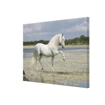 Fantasy Horses: Lord of the Lake Gallery Wrapped Canvas