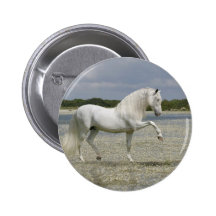 Fantasy Horses: Lord of the Lake Pinback Button