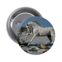 Fantasy Horses: Snow King Buttons