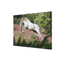 Fantasy Horses: Spring Gallop Gallery Wrap Canvas