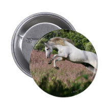 Fantasy Horses: Spring Gallop Pinback Buttons