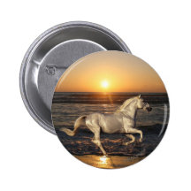 Fantasy Horses: Sunset Pinback Button