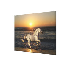 Fantasy Horses: Sunset Stretched Canvas Print
