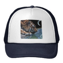 Fantasy Tiger & Moon Hats