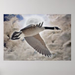 Fantasy Wildlife Art Flying Canada Goose Poster