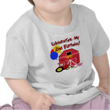 Farm 2nd Birthday T-shirts