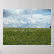 Farm Field Print