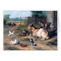 Farm Goat Kids Pigeons Cards