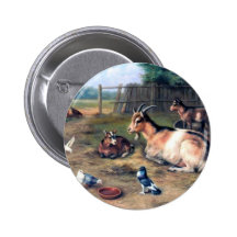 Farm Goat Kids Pigeons Pin