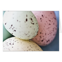 Farmer's eggs Card