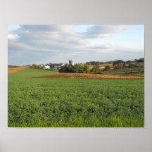 Farmland, DSCF7011 Poster
