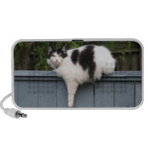 Fat Cat On Fence Speaker