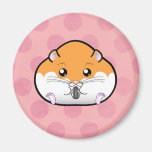 Fat Orange White Syrian Hamster Fridge Magnet