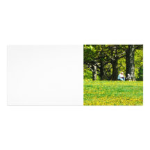 Father and Son Under the Trees Rack Card Design