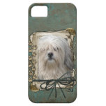 Fathers Day - Stone Paws - Lowchen