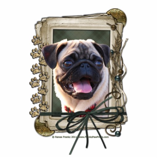 Fathers Day - Stone Paws - Pug Acrylic Cut Out