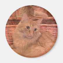 Fatty In The Looking Glass Refrigerator Magnets