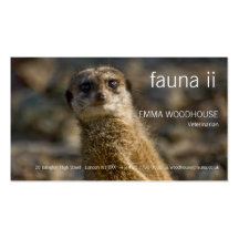 Fauna - Meerkat Business Card