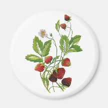 Faux Embroidered Fresh Strawberries Fridge Magnets