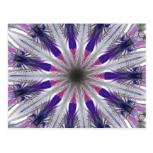 Feather Eleven Nov 2012 Postcards