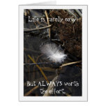 Feather Interrupted Greeting Cards
