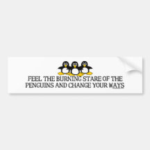 Feel The Burning Stare Of The Penguins Bumperstick Bumper Sticker