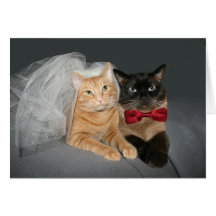 Feline Bride and Groom Greeting Card