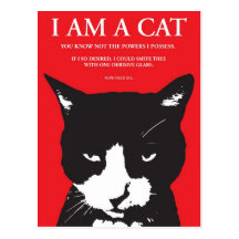 Feline Uberlord - Postcard