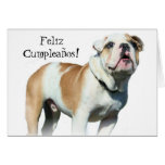Feliz Cumpleaños Tarjeta de Bulldog Ingles Card
