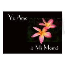 Feliz Dia de la Madre 13 Greeting Cards