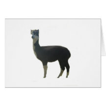 Female alpaca greeting card