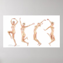 Female Anatomy Poster