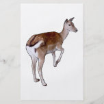 Female Deer. Flyers