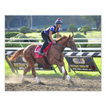 Female Exercise Rider Photograph