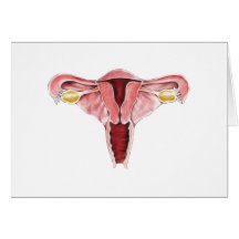 Female Reproductive Greeting Card