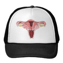 Female Reproductive System hat