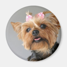 Female Yorkshire Fridge Magnet