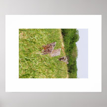 Fence Post's Print