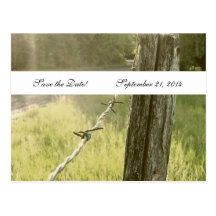 Fencepost Barbed Wire Rustic Save the Date Postcards