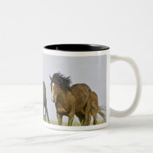 Feral Horse Equus caballus) wild horses 3 Coffee Mug