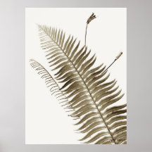fern 1 - poster
