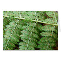 Fern Card