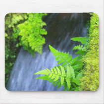 Ferns mousepads