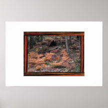 Ferns Of Autumn Print