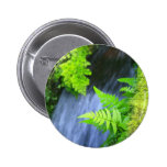Ferns Pins