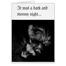 Ferret Black and White Card