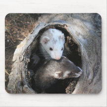 Ferret Pals Mousepad