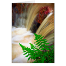 Ferrous thermal water cards