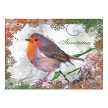 Festive Robin Party Invitation