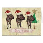 Festive Rose Zebras Merry Christmas Card